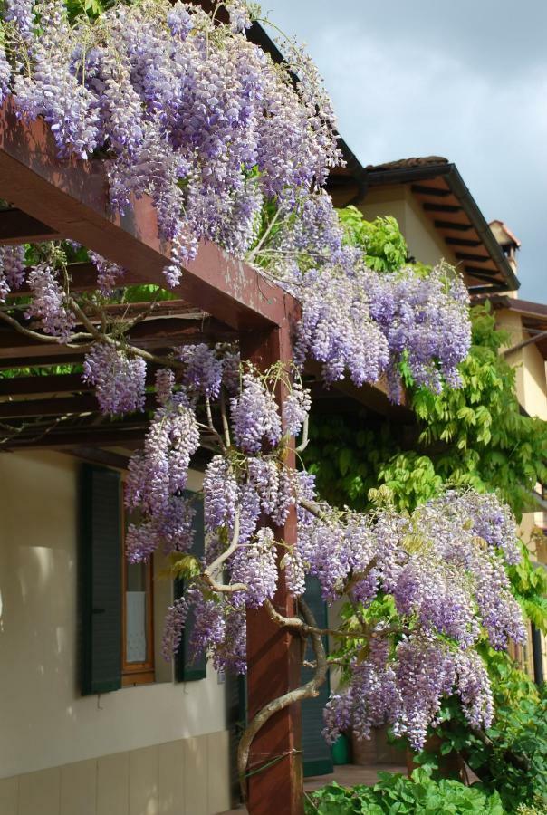 Casa Ai Pini Apartment Panzano in Chianti Exterior photo